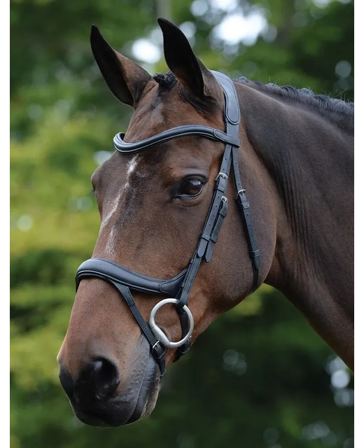 Collegiate Comfitec Vogue Anatomical Bridle