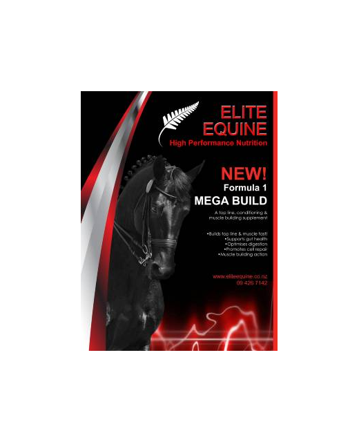 Elite Equine Mega Buiild