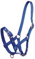 Foal Halter Tartan