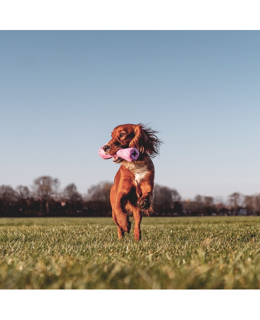 BecoBone Natural Rubber Dog Bone