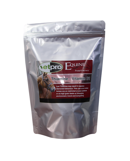 Equine Vitamin B1 Thiamine 1kg