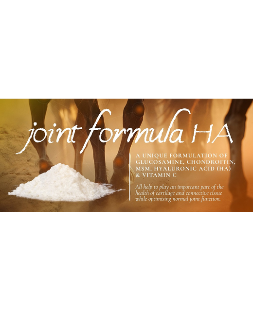 Enhance Equine Joint Formula HA 1KG Horse CareHorse Feed