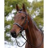 Kincade Flat Cavesson Show Bridle