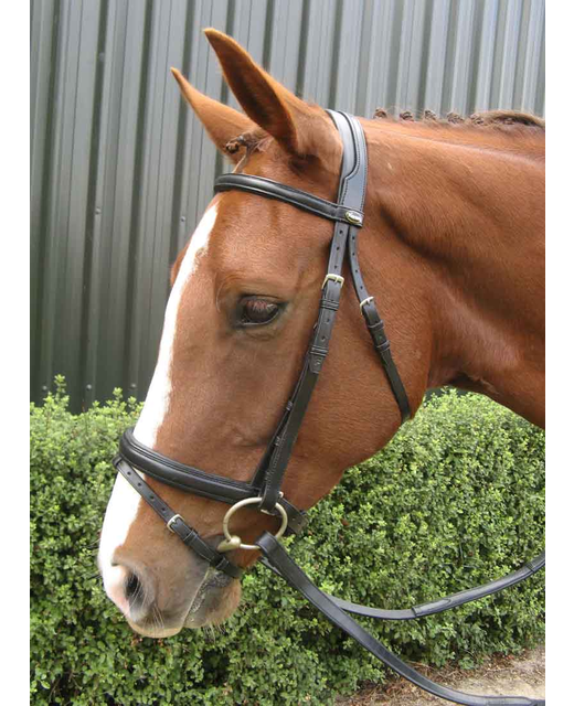 Peter Horobin Crnk Padded Warmblood
