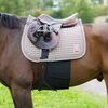 HOrze Elastic Spur Belly Guard