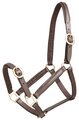 Halter Leather Foal Aintree Brown