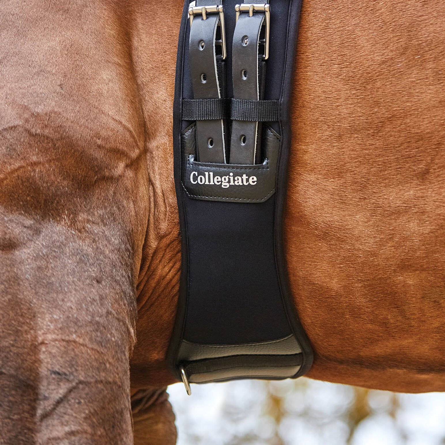 Collegiate Memory Foam Girth Dressage Saddles & AccessoriesGirths