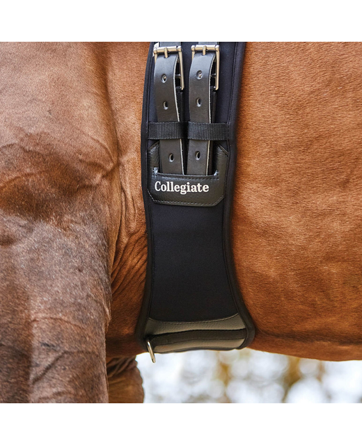 Collegiate Memory Foam Girth Dressage