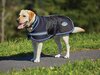 Weatherbeeta Comfitech Parka 1680D Dog Rug