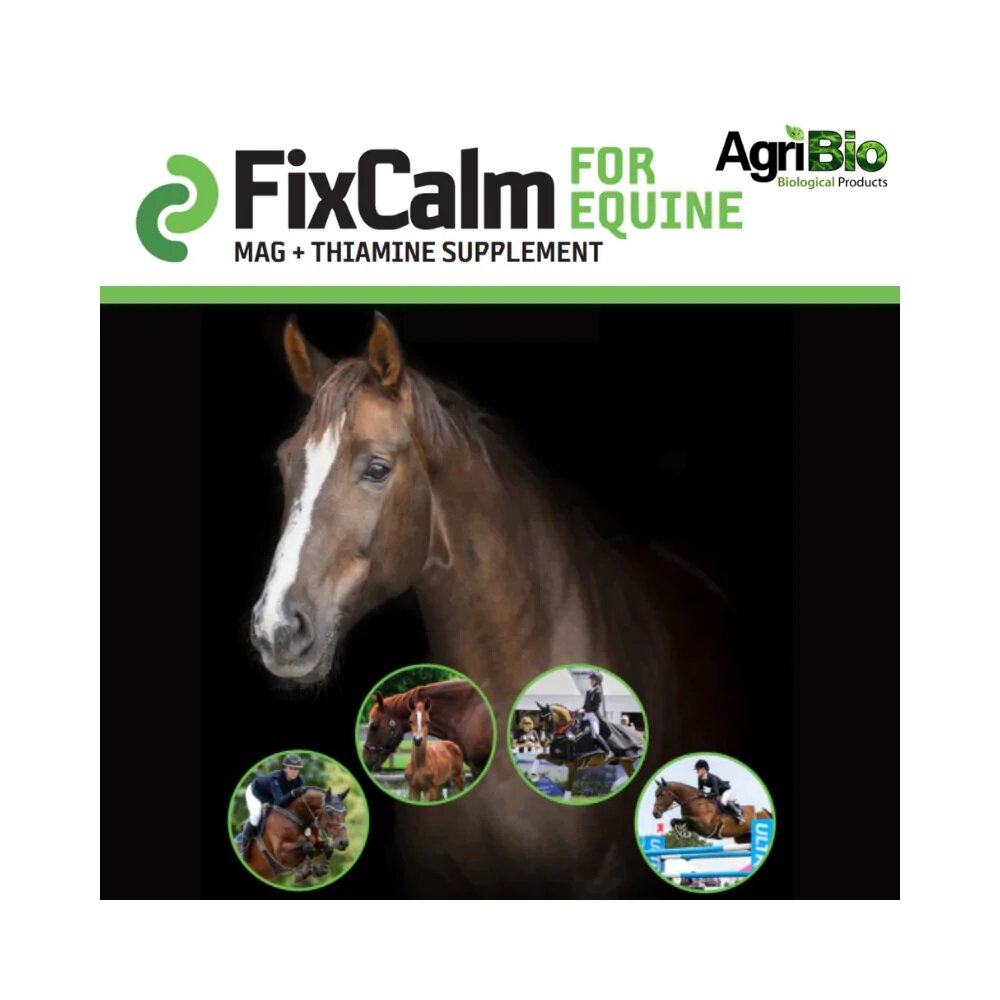 FixCam For Equine Plus Thiamine 550gm Horse CareHorse Feed