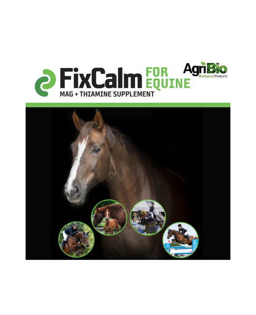 FixCam For Equine Plus Thiamine 550gm