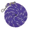 Sparkle Lead Rope