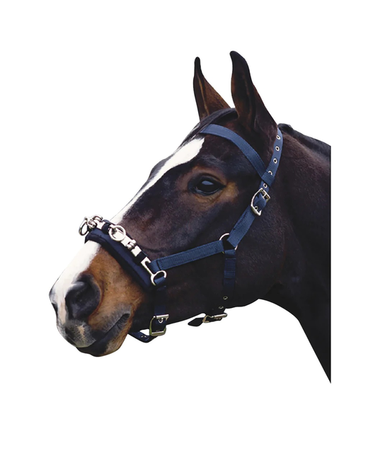 Lunge Cavesson CoOrdinate HorseLunging & Training Equipment