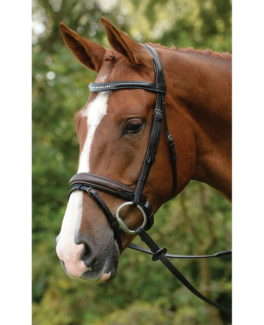 Kincade Comfort Crystal Crank Bridle