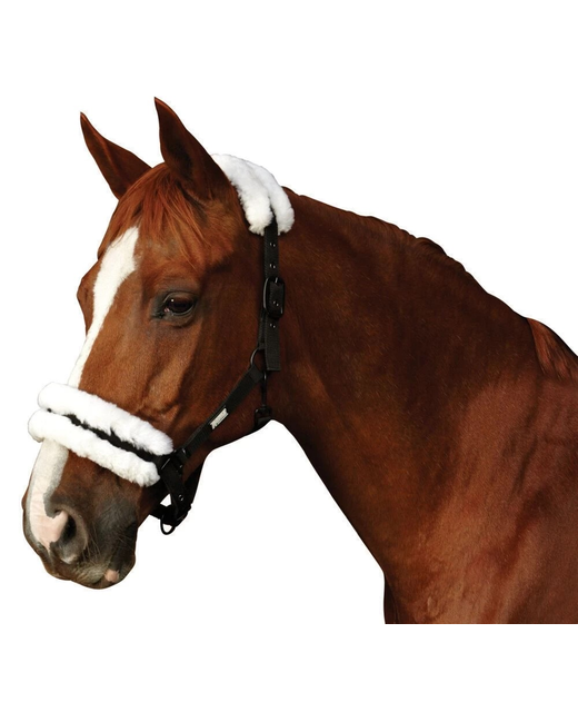 Roma Merino SheepSkin HeadCollar