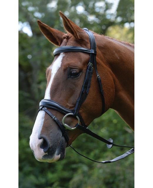 Kincade Comfort Anatomical Flash Bridle