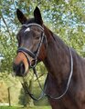 Kincade Deep V Crystal Hanoverian Bridle