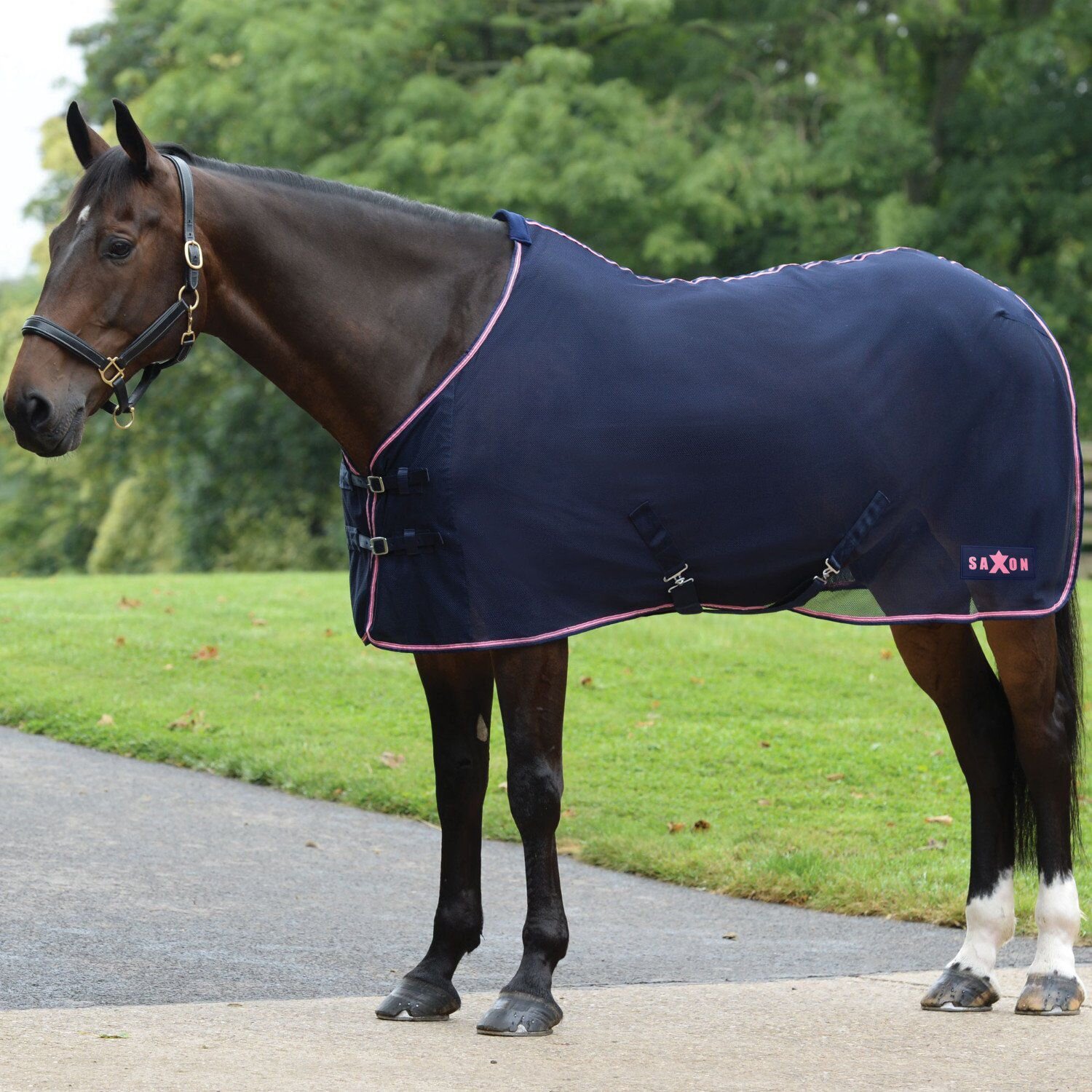 Saxon Element Net Cooler Standard Neck Horse RugsShow Rugs & Coolers