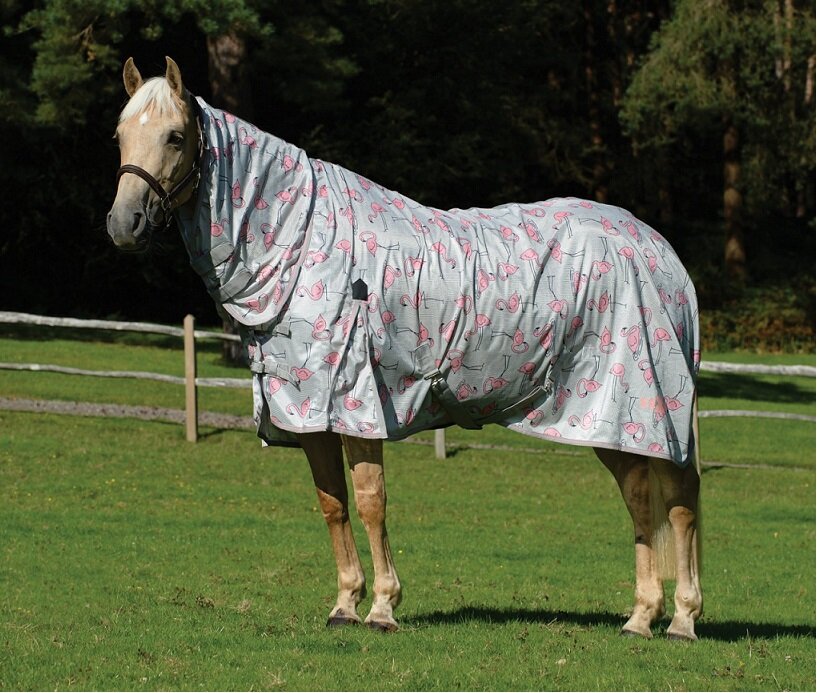 Saxon Air Mesh Combo Horse RugsSpring & Summer Rugs Richmond