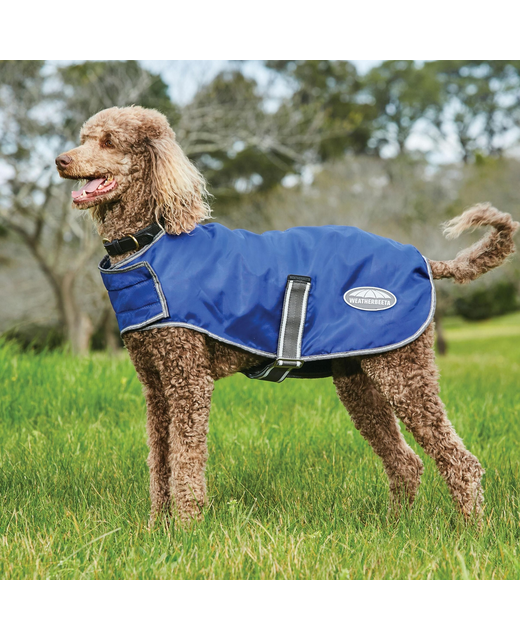 Weatherbeeta Comfitec Windbreaker Free Dog Coat