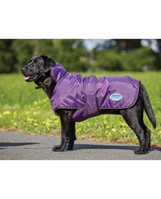 Weatherbeeta Comfitec Windbreaker 420D Deluxe Dog Coat