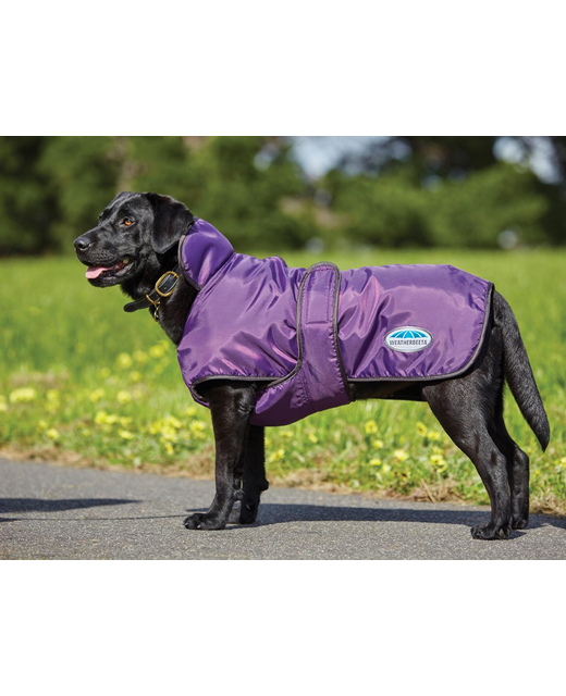 Weatherbeeta Comfitec Windbreaker 420D Deluxe Dog Coat