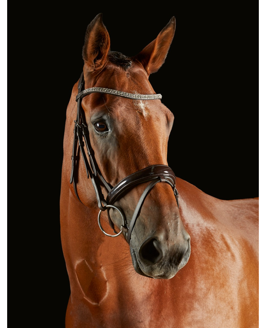 Collegiate Comfitec Luna Bridle 