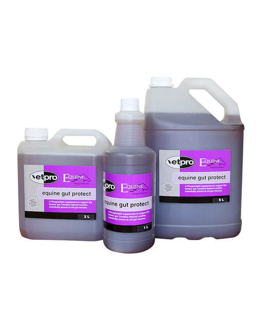 Equine Gut Protect 1 Litre
