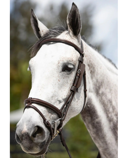 Platinum Leather Focus Blinkers
