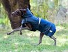 Weatherbeeta Explorer Medium Dog Rug
