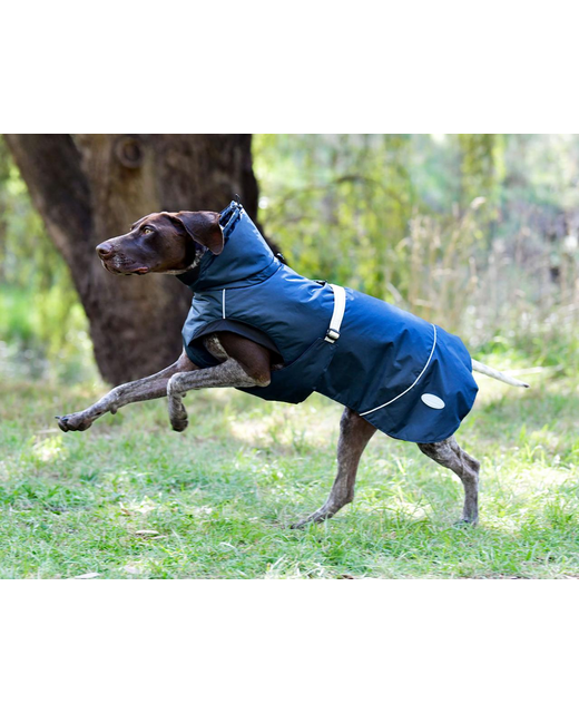 Weatherbeeta Explorer Medium Dog Rug
