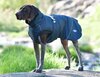Weatherbeeta Explorer Medium Dog Rug