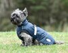 Weatherbeeta Explorer Medium Dog Rug