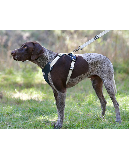 Weatherbeeta Explorer Dog Harness