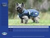 Weatherbeeta Explorer Medium Dog Rug