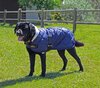 Cavallino Sherwood Dog Coats 210D 220gm