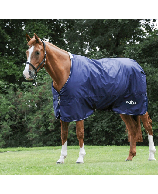 Saxon Defiant With Buckle 600D Standard Neck Medium Horse Rugs200 Gram Fill Richmond