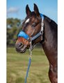 Weatherbeeta Prime Plus Headcollar And Lead Set