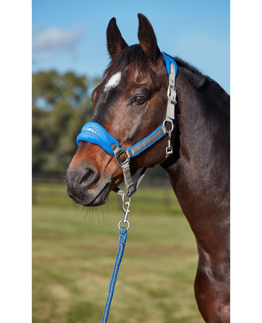 Weatherbeeta Prime Plus Headcollar And Lead Set