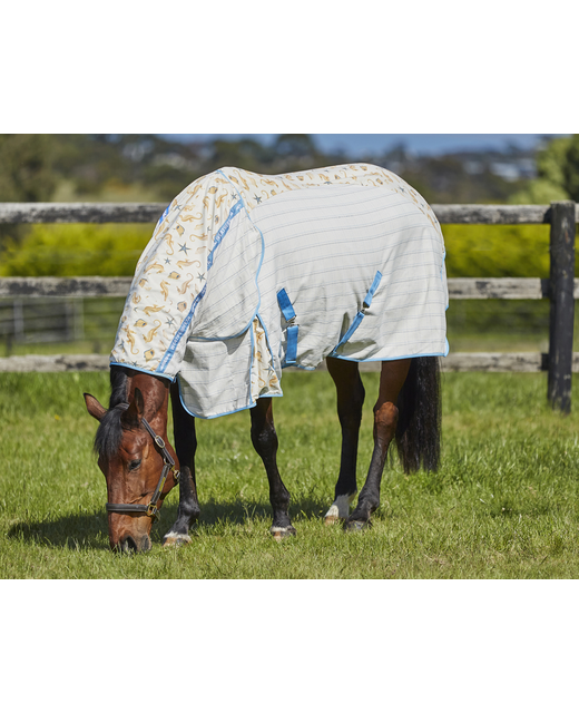 Weatherbeeta Cotton Summer Sheet Combo NEW