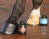 Absorbine Super Shine Hoof Polish