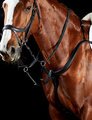 Collegiate Comfitec 3 Point Breastplate