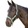 Weatherbeeta Coordinate Headcollar