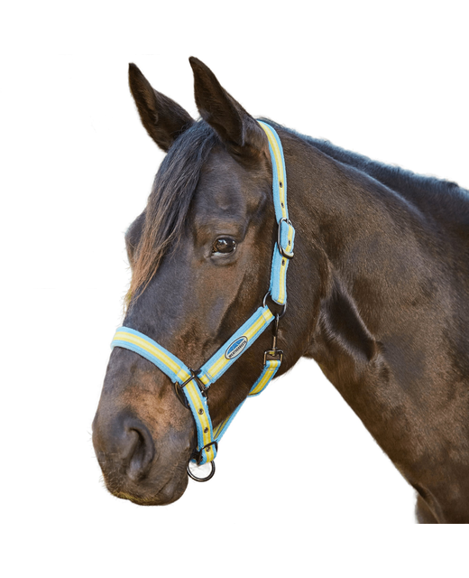 Weatherbeeta Coordinate Headcollar