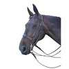 Signature Double Flat Show Bridle 