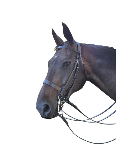 Signature Double Flat Show Bridle 