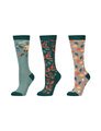 Dublin Kids 3 Pack Socks 4 Season