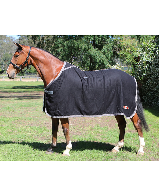 Zilco Stadium Wool Dress Rug 