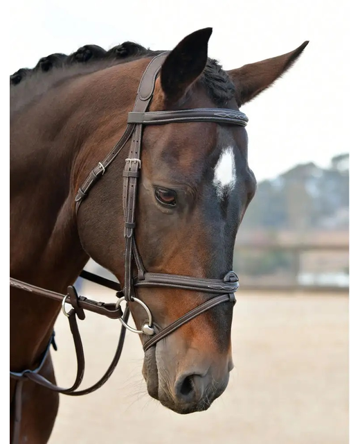 Collegiate Comfitec Opulux Fancy Stitch Padded Hanoverian Bridle
