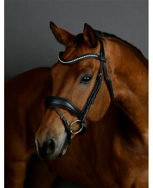 Collegiate Comfitec Opulux Padded Dressage Bridle